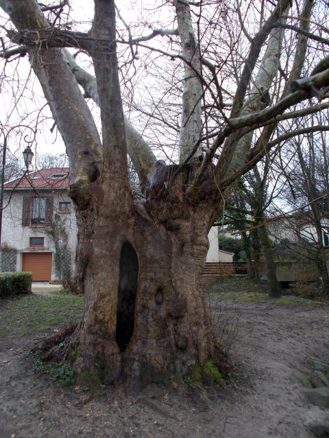 2018-01-25 - saulx-les-chartreux (09)