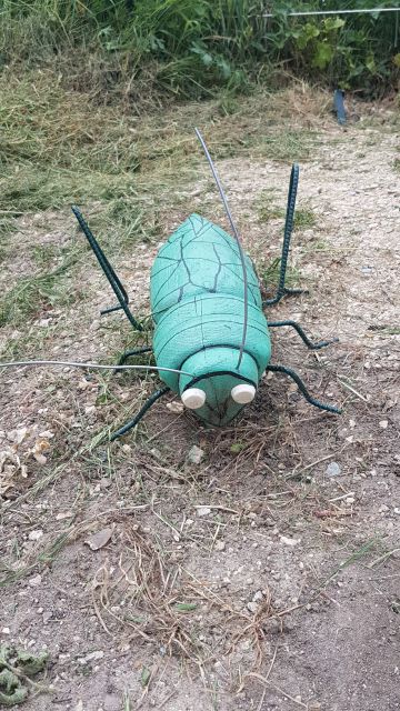 2018-05-16 - breuillet (13)