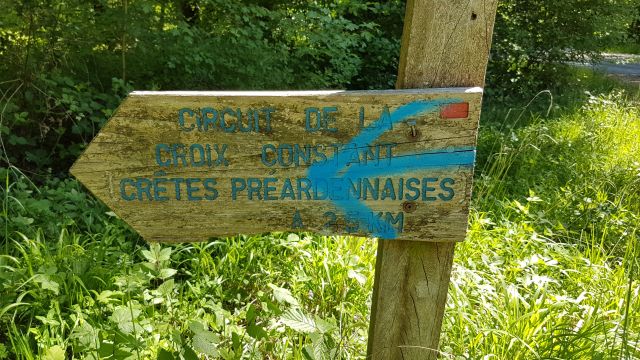 2018-05-08 - signy-l abbaye (22)