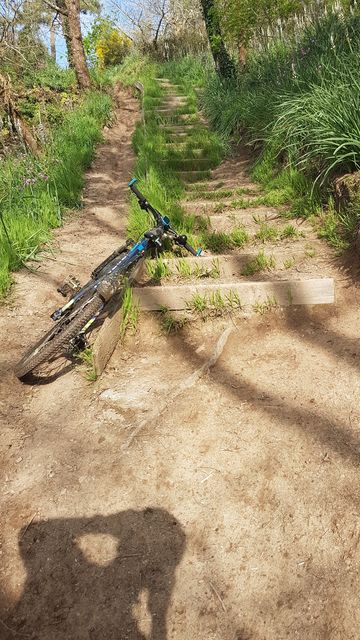 2018-04-22 - martinet (12)