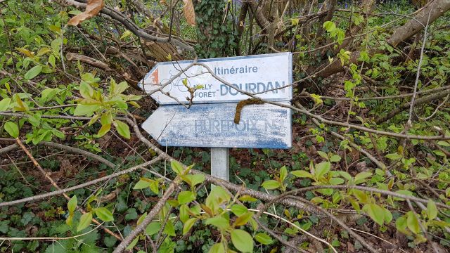 2018-04-15 - morigny-champigny (13)