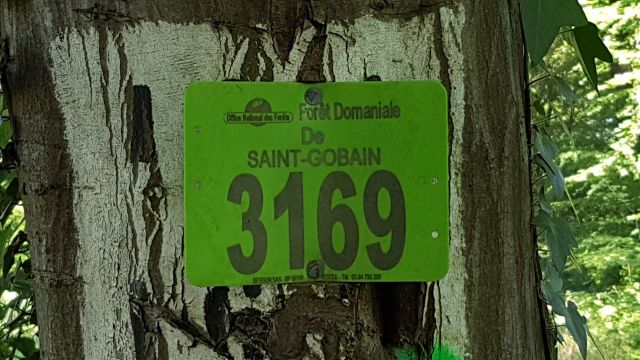2018-05-12 - coucy-chateau-auffrique (10)