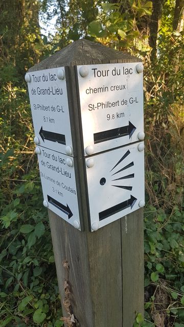 2018-07-07 - saint-lumine-de-coutais (01)