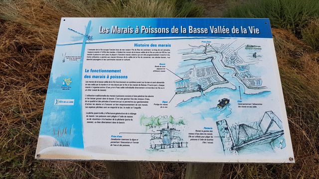 2018-07-30 - st-gilles-croix-de-vie (06)
