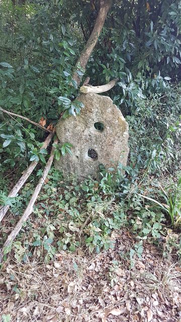 2018-08-04 - sallertaine (05)