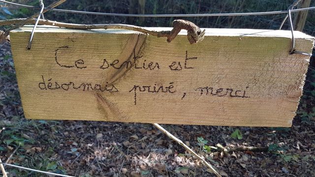 2018-08-04 - sallertaine (09)