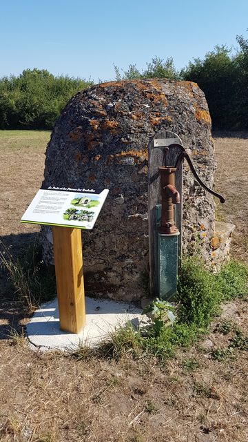 2018-08-04 - sallertaine (14)
