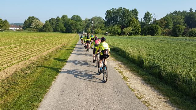 2018-05-20 - mormant (03)