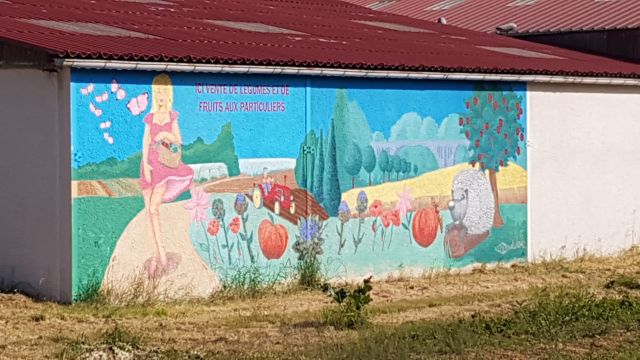 2018-05-20 - mormant (06)