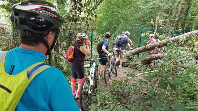 2018-06-09 - vert-le-petit (08)