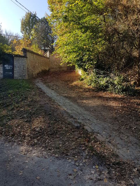 2018-10-21 - veneux-les-sablons (24)