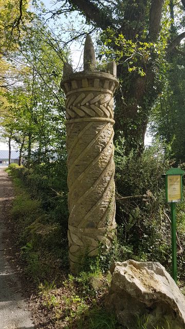 2018-04-22 - martinet (14)