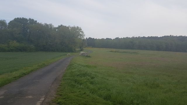 2018-05-01 - boissy-aux-cailles (05)