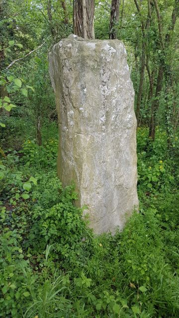 2018-05-01 - boissy-aux-cailles (30)