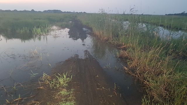 2018-07-07 - saint-lumine-de-coutais (12)