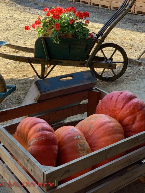 2018-10-13 - baulne (085)