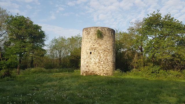 2018-04-22 - martinet (10)