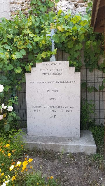 2018-07-01 - pommeuse (28)