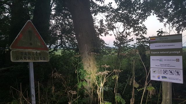 2018-07-07 - saint-lumine-de-coutais (09)