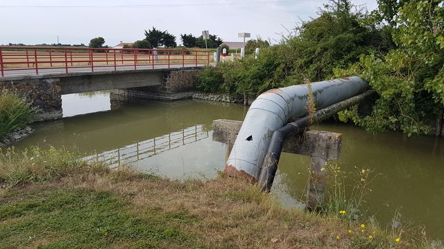 2018-07-27 - notre-dame-de-monts (04)