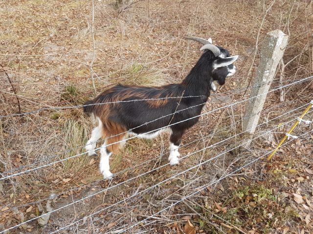 2018-10-28 - la garnache (16)