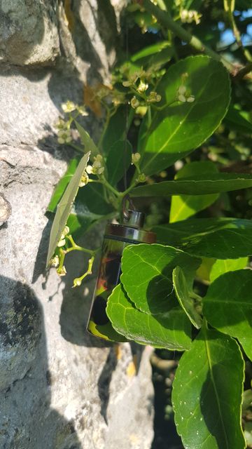 2018-07-20 - l-epine (06)
