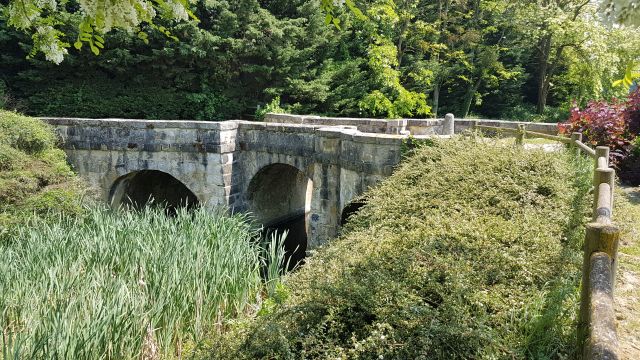 2018-05-16 - breuillet (04)