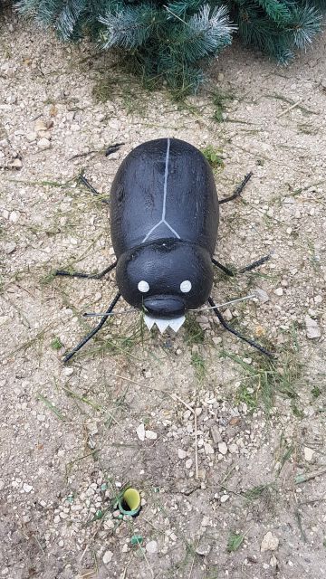 2018-05-16 - breuillet (12)