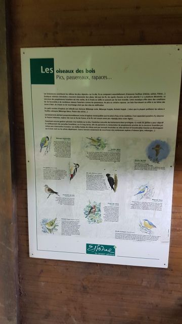 2018-06-09 - vert-le-petit (06)