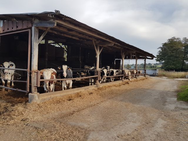 2018-10-28 - la garnache (12)