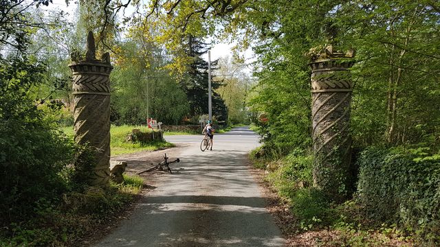 2018-04-22 - martinet (16)