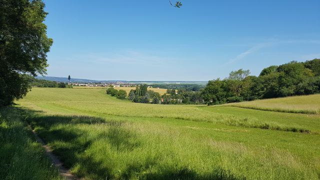 2018-06-03 - frepillon (17)