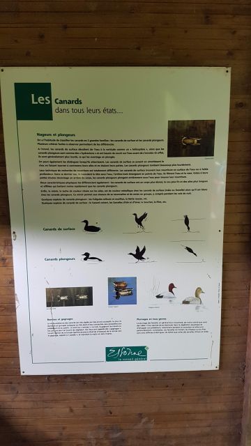 2018-06-09 - vert-le-petit (07)