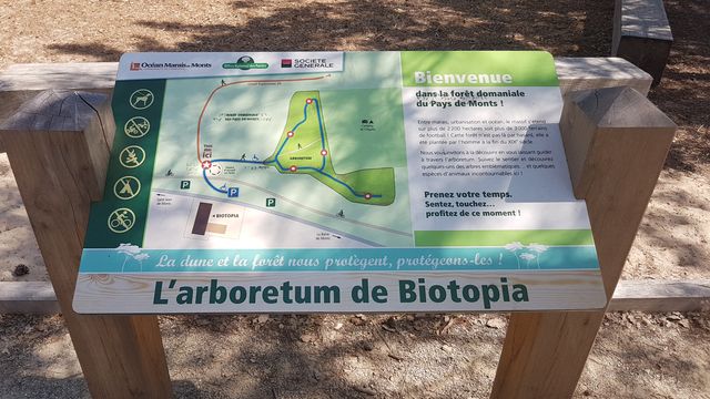 2018-07-16 - st-gilles-fromentine (12)
