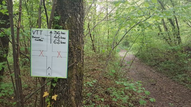 2018-05-01 - boissy-aux-cailles (07)