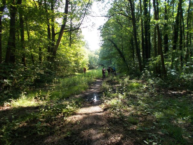 2018-05-25-breuillet (12)