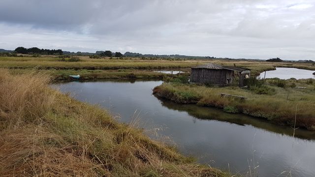 2018-07-30 - st-gilles-croix-de-vie (08)