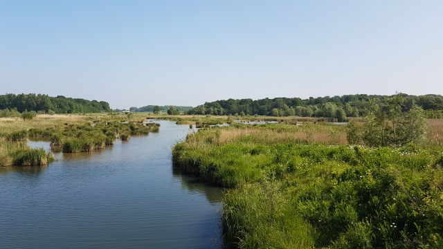 2018-05-19 - reau (24)