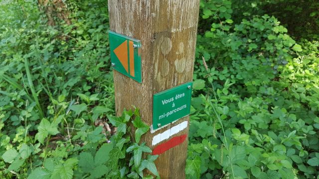 2018-05-12 - coucy-chateau-auffrique (12)