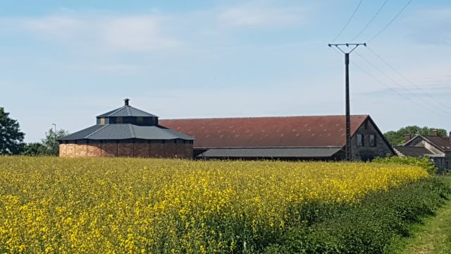 2018-05-12 - coucy-chateau-auffrique (31)
