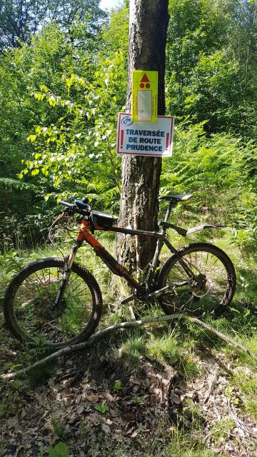 2018-06-03 - frepillon (18)