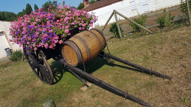 2018-07-08 - givrand (01)