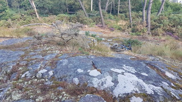 2018-07-22 - arzal (11)