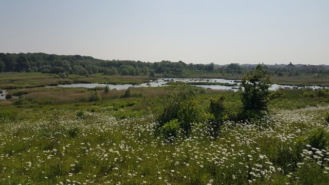 2018-05-19 - reau (25)