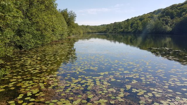 2018-05-12 - coucy-chateau-auffrique (18)