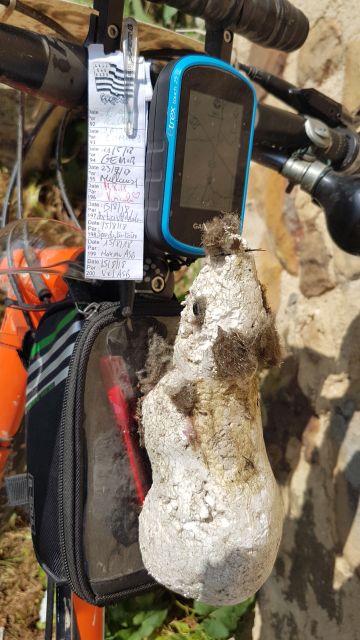 2018-08-15 - vallery (20)