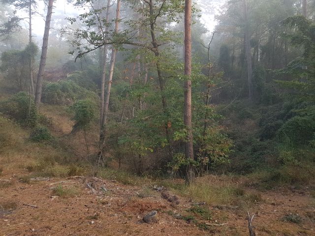2018-10-21 - veneux-les-sablons (10)