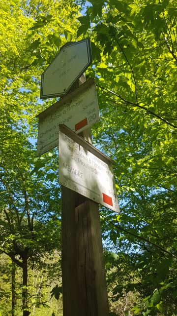 2018-05-06 - bohan (63)