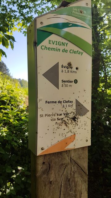 2018-05-08 - signy-l abbaye (03)