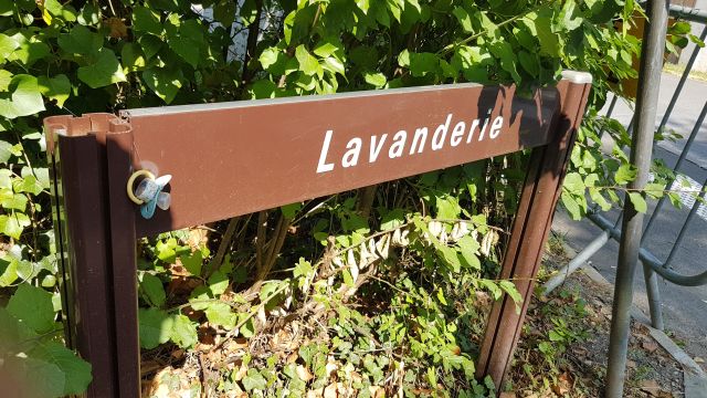 2018-07-01 - pommeuse (16)